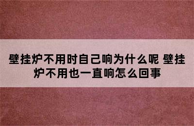 壁挂炉不用时自己响为什么呢 壁挂炉不用也一直响怎么回事